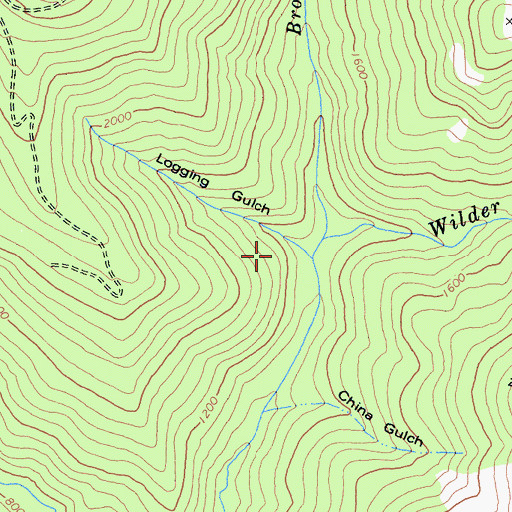 Topographic Map of Logging Gulch, CA