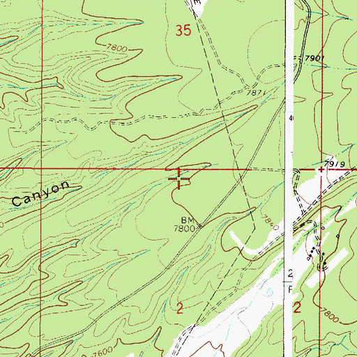 Topographic Map of San Cristobal Census Designated Place, NM
