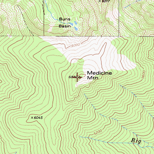 Topographic Map of Medicine Mountain, CA