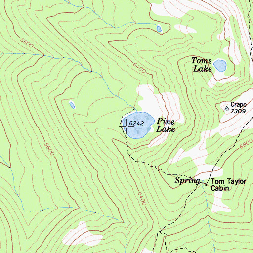 Topographic Map of Pine Lake, CA