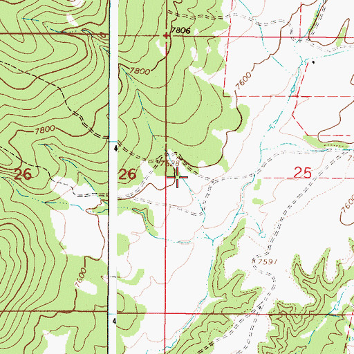 Topographic Map of Diversion Channel, NM