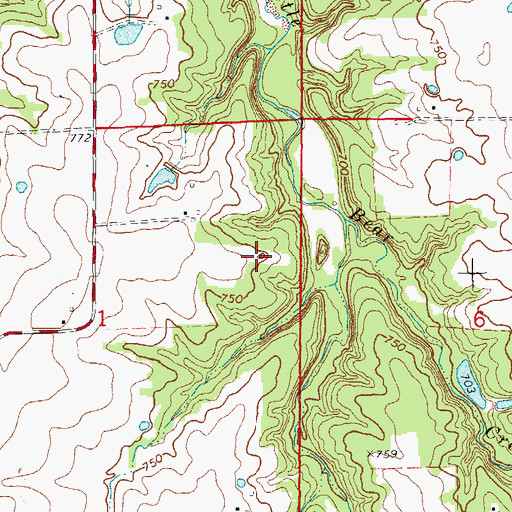 Topographic Map of Sanctuary Airport, MO