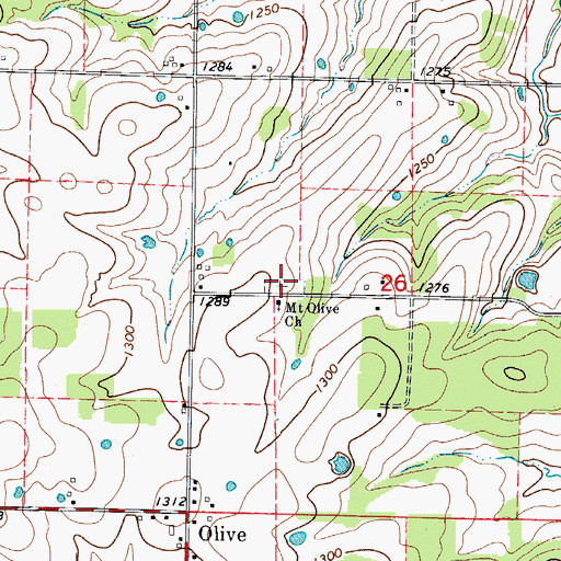 Topographic Map of Mount Olive Cemetery, MO