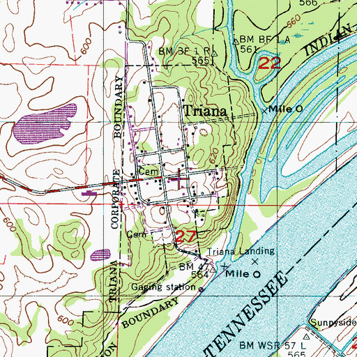 Topographic Map of Triana Volunteer Fire Department, AL