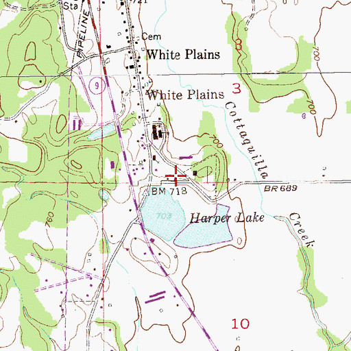 Topographic Map of White Plains Volunteer Fire Department Station 1, AL
