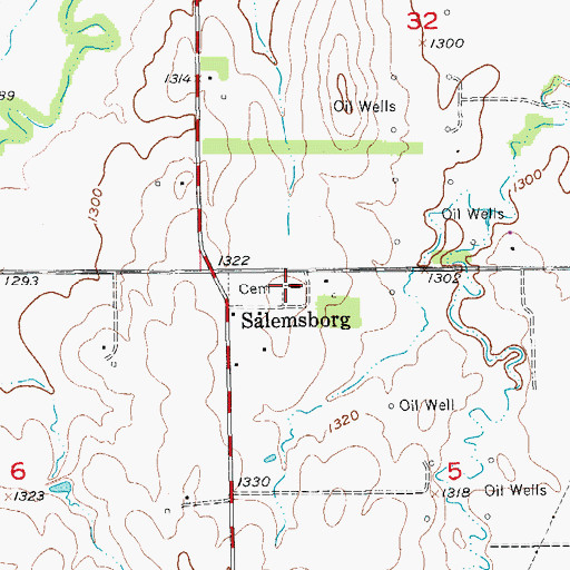 Topographic Map of Salemsborg Lutheran Church, KS