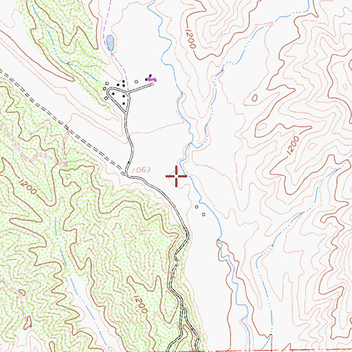 Topographic Map of Lisque Creek, CA