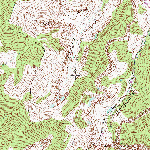 Topographic Map of Center Branch Wildlife Management Area, WV