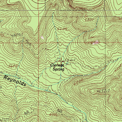 Topographic Map of Cienega Spring, AZ