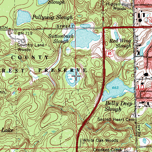 Topographic Map of Cranberry Slough, IL