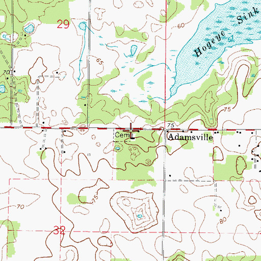 Topographic Map of Adamsville Cemetery, FL