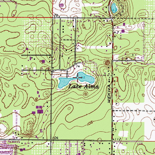 Topographic Map of Lake Alma, FL