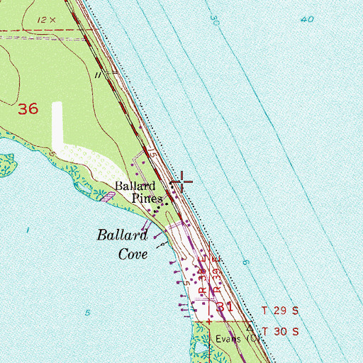 Topographic Map of Ballard Pines, FL
