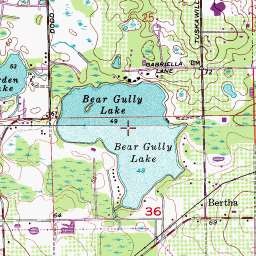 Topographic Map of Bear Gully Lake, FL