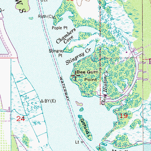 Topographic Map of Bee Gum Point, FL
