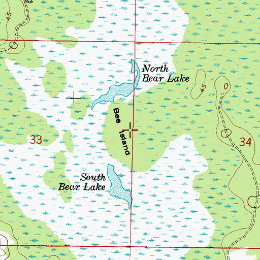 Topographic Map of Bee Island, FL