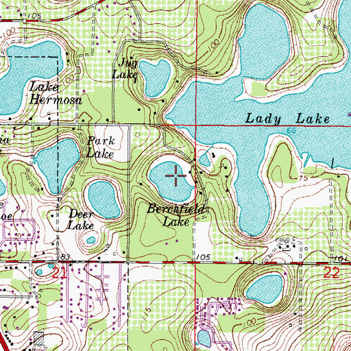 Topographic Map of Berchfield Lake, FL