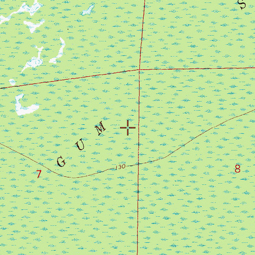 Topographic Map of Big Gum Swamp, FL