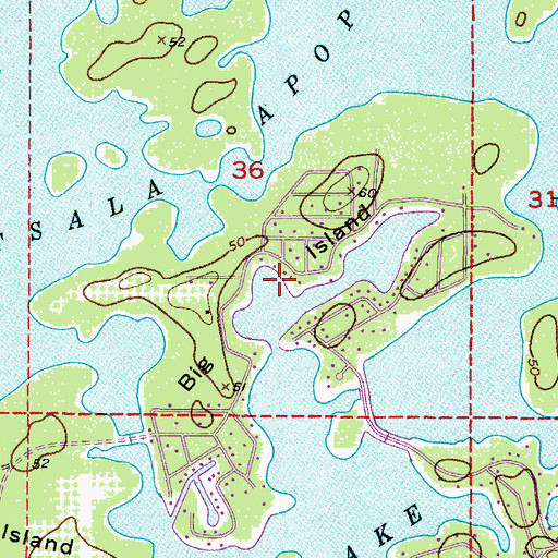 Topographic Map of Big Island, FL