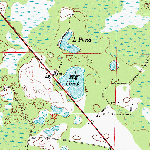 Topographic Map of Big Pond, FL