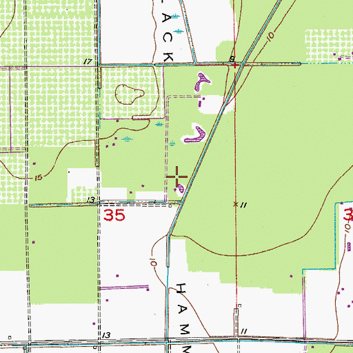 Topographic Map of Black Hammock, FL