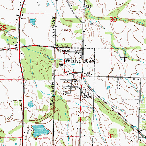 Topographic Map of White Ash, IL
