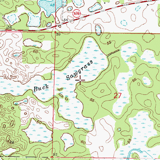 Topographic Map of Buck Sawgrass, FL