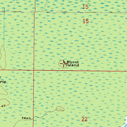 Topographic Map of Burnt Island, FL