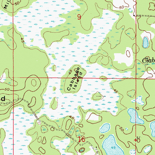 Topographic Map of Cabbage Island, FL