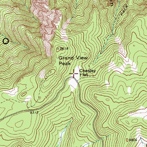 Topographic Map of Chesley Flat, AZ