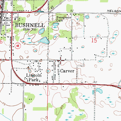 Topographic Map of Carver, FL