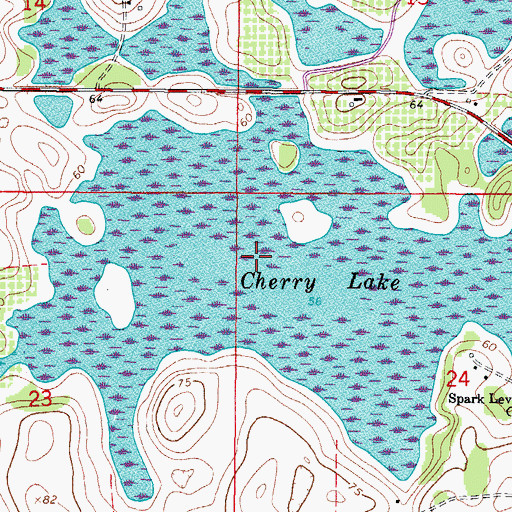 Topographic Map of Cherry Lake, FL