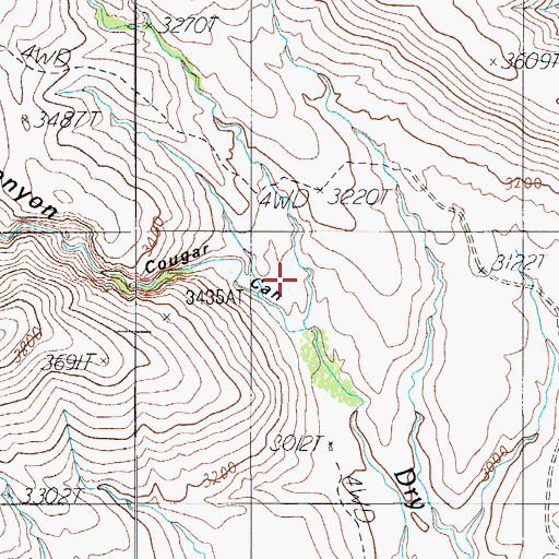 Topographic Map of Cougar Canyon, AZ