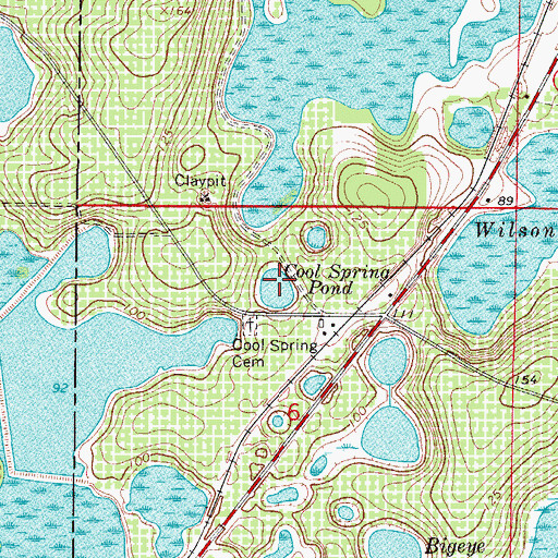 Topographic Map of Cool Spring Pond, FL