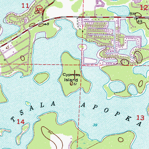 Topographic Map of Cypress Island, FL