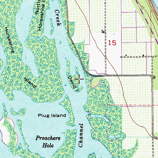 Topographic Map of David Island, FL