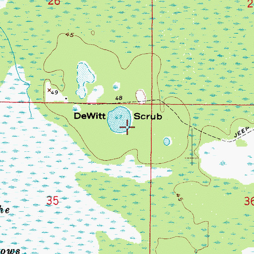 Topographic Map of DeWitt Scrub, FL