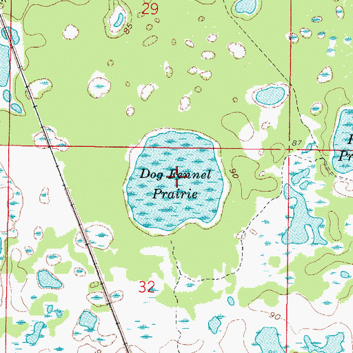 Topographic Map of Dog Fennel Prairie, FL
