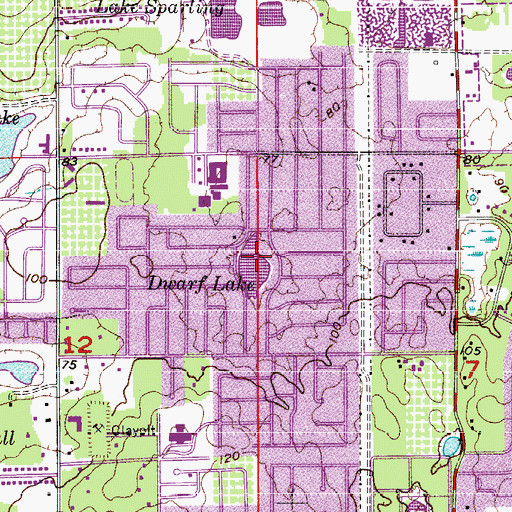 Topographic Map of Dwarf Lake, FL