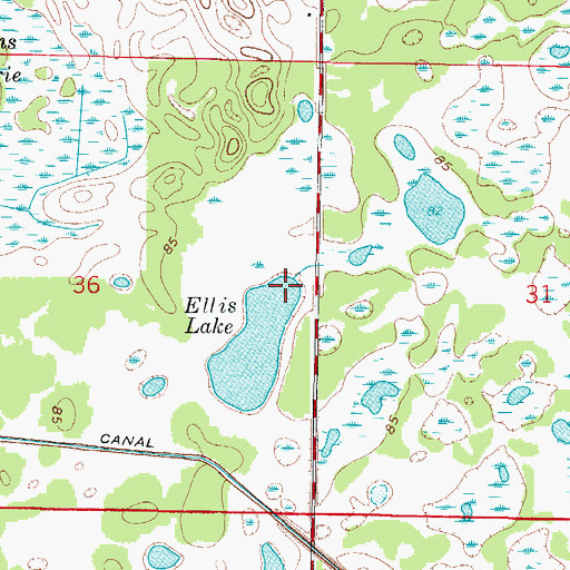 Topographic Map of Ellis Lake, FL