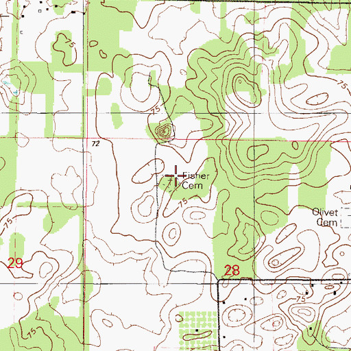 Topographic Map of Fisher Cemetery, FL