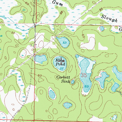 Topographic Map of Flag Pond, FL