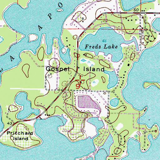 Topographic Map of Gospel Island, FL