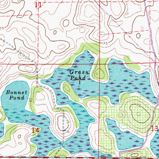Topographic Map of Grass Pond, FL