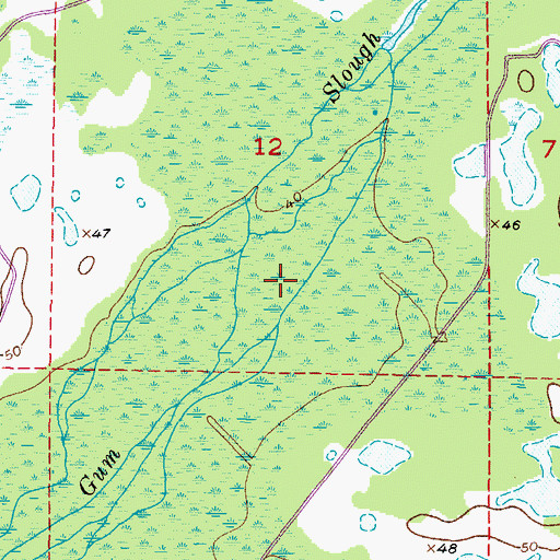 Topographic Map of Gum Swamp, FL