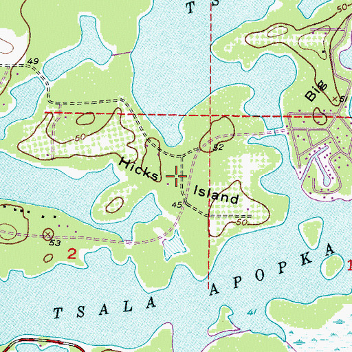 Topographic Map of Hicks Island, FL