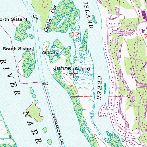 Topographic Map of Johns Island, FL