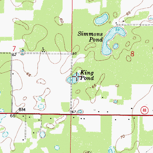 Topographic Map of King Pond, FL