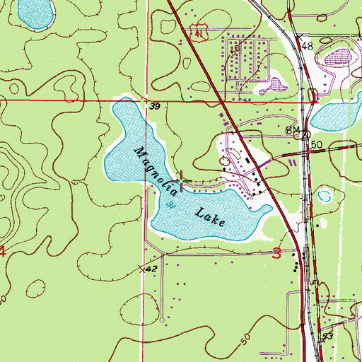 Topographic Map of Magnolia Lake, FL