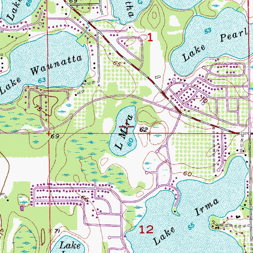 Topographic Map of Lake Mira, FL